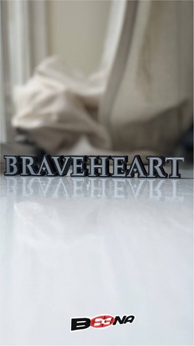 Braveheart movie shelf - movie,
